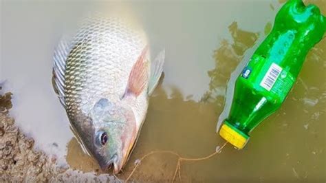 Bottle Fishing .
